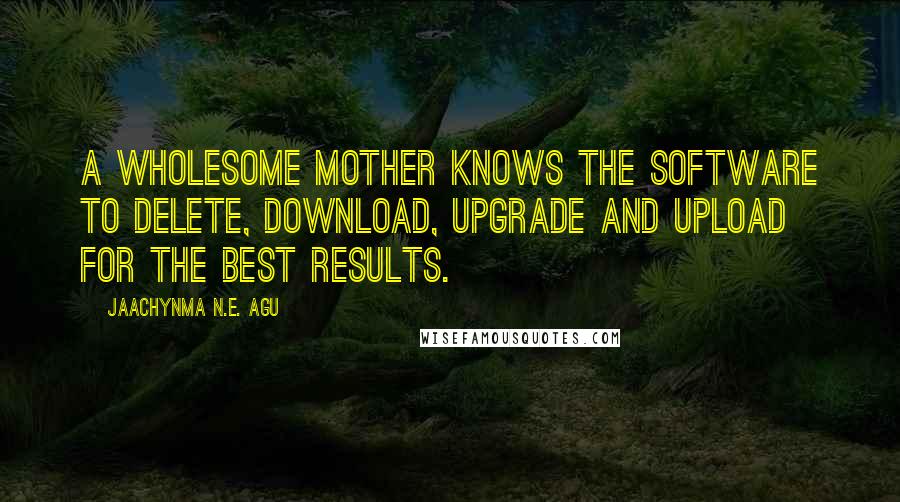 Jaachynma N.E. Agu Quotes: A wholesome mother knows the software to delete, download, upgrade and upload for the best results.