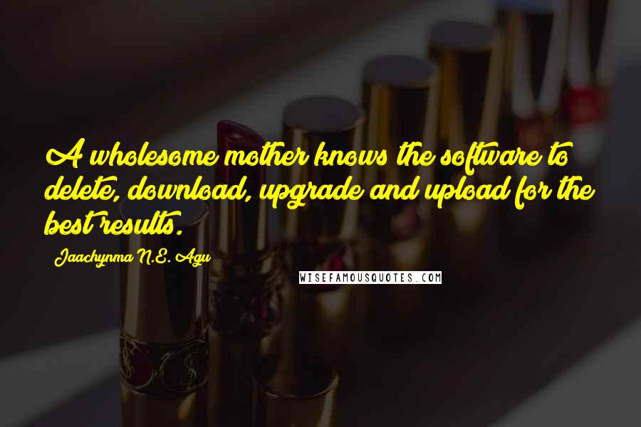 Jaachynma N.E. Agu Quotes: A wholesome mother knows the software to delete, download, upgrade and upload for the best results.