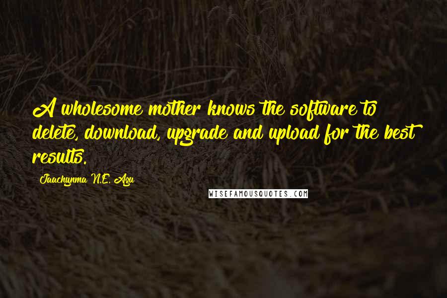 Jaachynma N.E. Agu Quotes: A wholesome mother knows the software to delete, download, upgrade and upload for the best results.