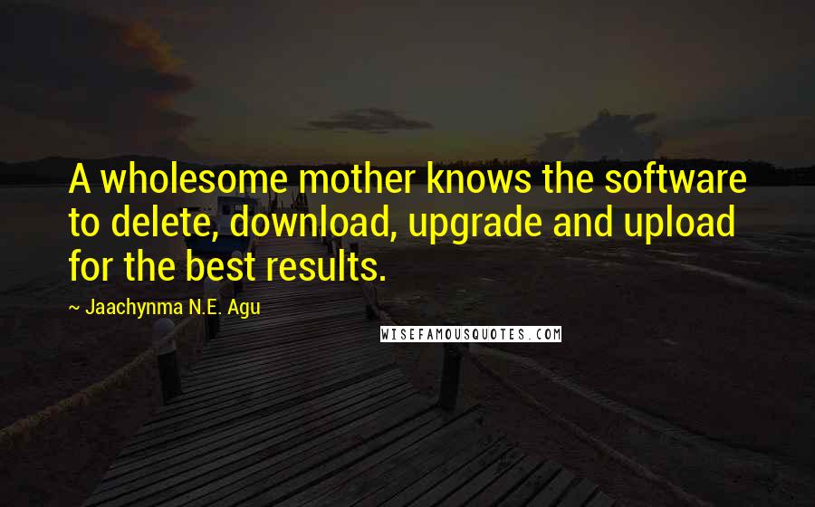 Jaachynma N.E. Agu Quotes: A wholesome mother knows the software to delete, download, upgrade and upload for the best results.