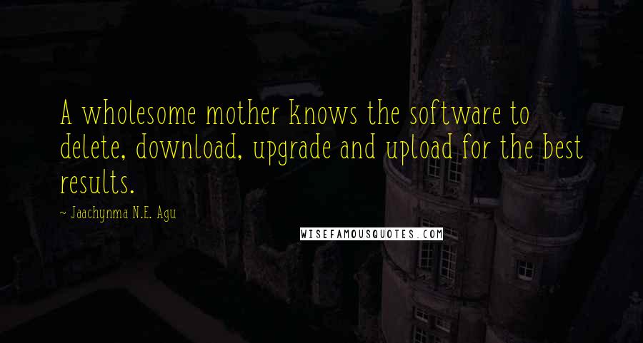 Jaachynma N.E. Agu Quotes: A wholesome mother knows the software to delete, download, upgrade and upload for the best results.