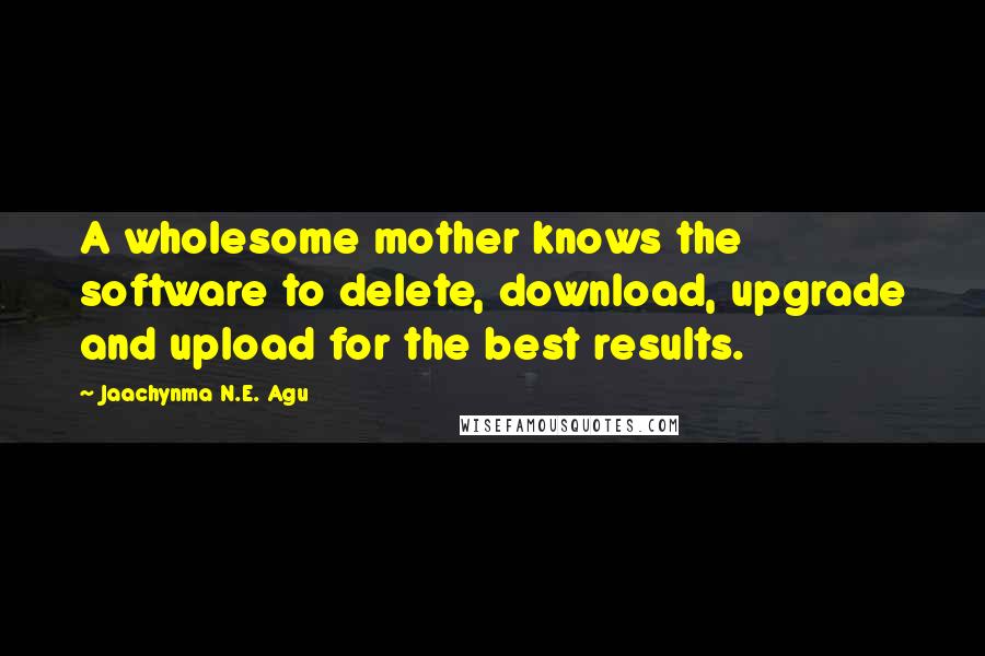 Jaachynma N.E. Agu Quotes: A wholesome mother knows the software to delete, download, upgrade and upload for the best results.