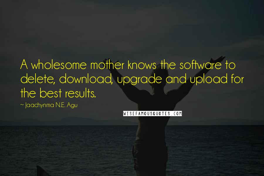 Jaachynma N.E. Agu Quotes: A wholesome mother knows the software to delete, download, upgrade and upload for the best results.