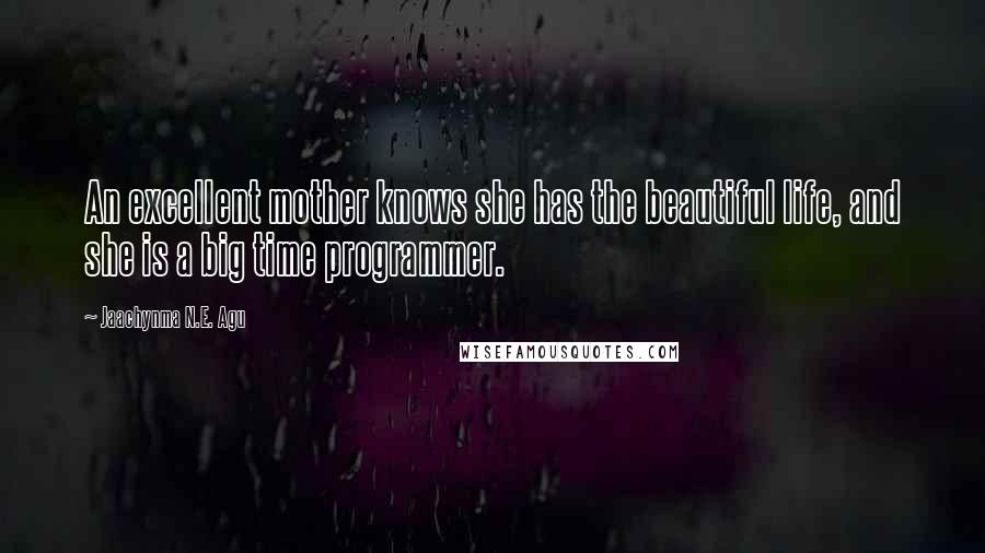 Jaachynma N.E. Agu Quotes: An excellent mother knows she has the beautiful life, and she is a big time programmer.