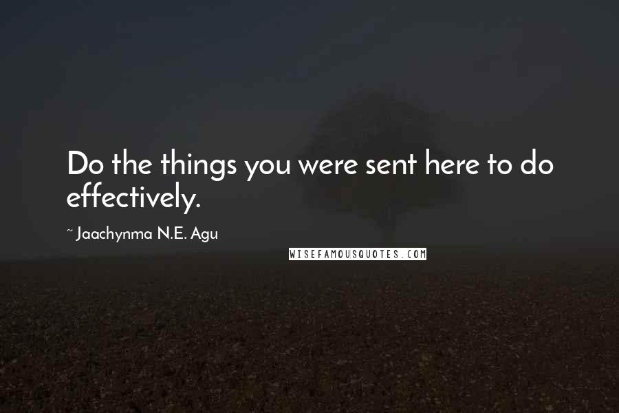 Jaachynma N.E. Agu Quotes: Do the things you were sent here to do effectively.