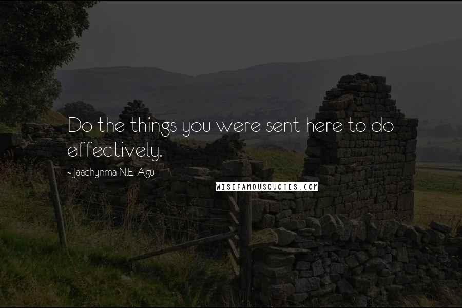 Jaachynma N.E. Agu Quotes: Do the things you were sent here to do effectively.