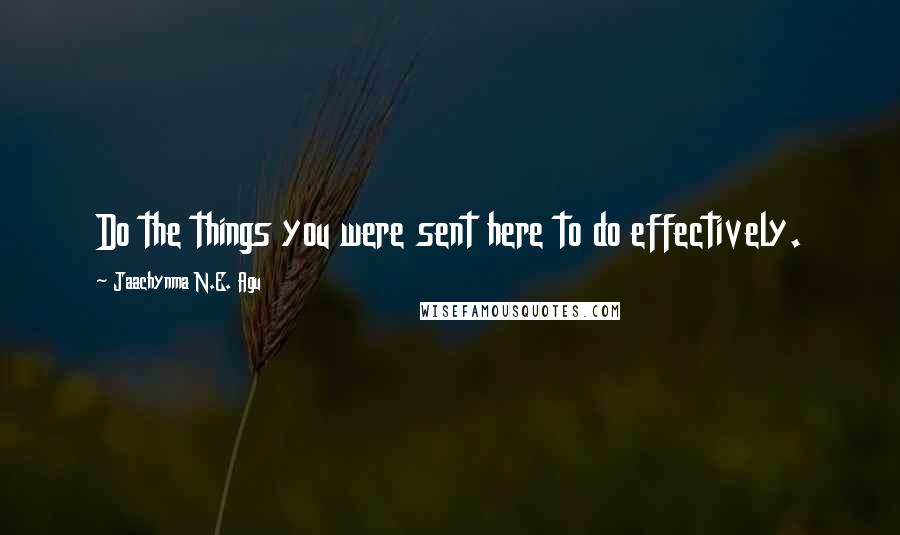 Jaachynma N.E. Agu Quotes: Do the things you were sent here to do effectively.