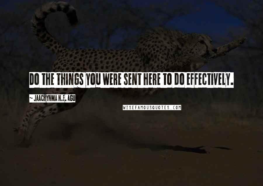 Jaachynma N.E. Agu Quotes: Do the things you were sent here to do effectively.