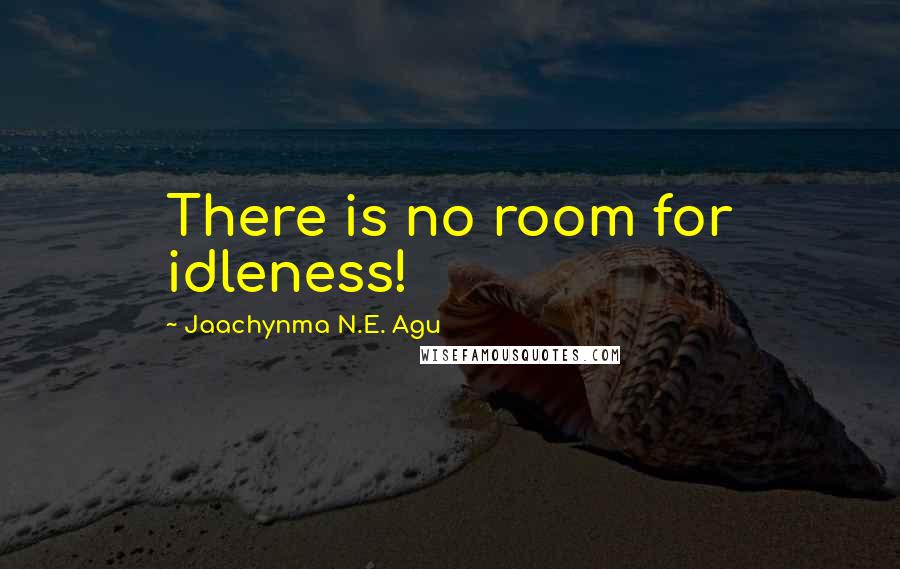 Jaachynma N.E. Agu Quotes: There is no room for idleness!