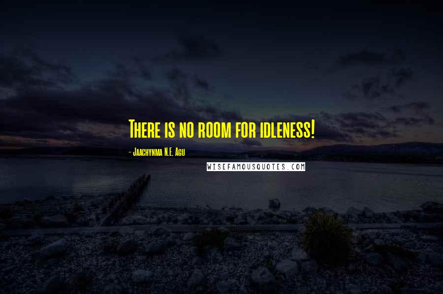 Jaachynma N.E. Agu Quotes: There is no room for idleness!