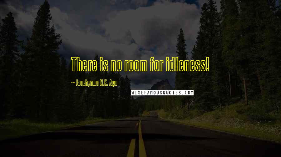 Jaachynma N.E. Agu Quotes: There is no room for idleness!