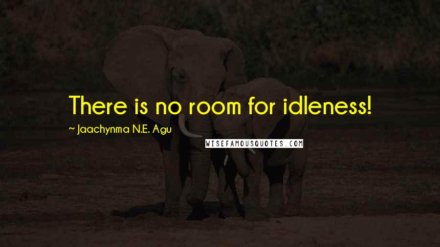 Jaachynma N.E. Agu Quotes: There is no room for idleness!