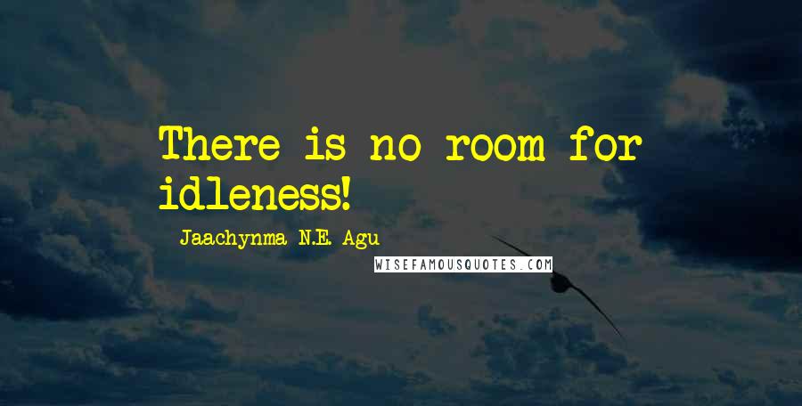 Jaachynma N.E. Agu Quotes: There is no room for idleness!