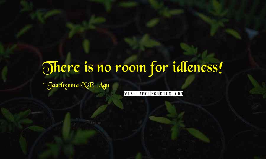 Jaachynma N.E. Agu Quotes: There is no room for idleness!