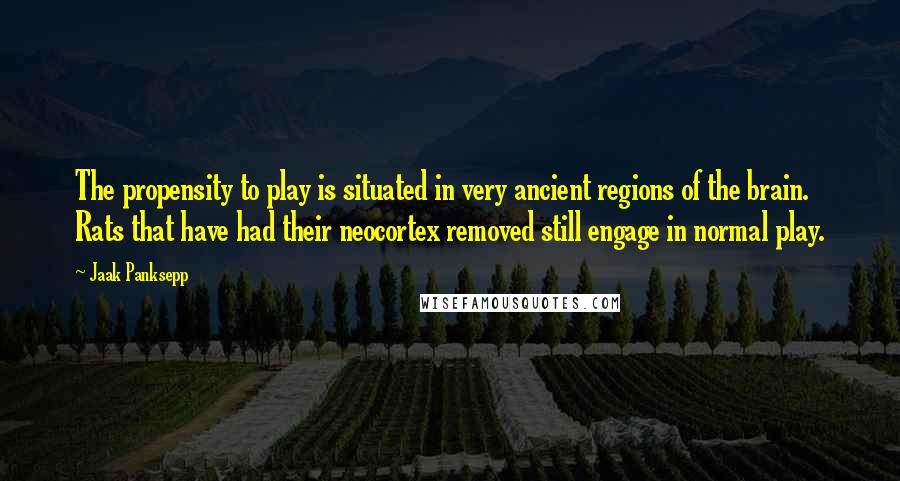 Jaak Panksepp Quotes: The propensity to play is situated in very ancient regions of the brain. Rats that have had their neocortex removed still engage in normal play.