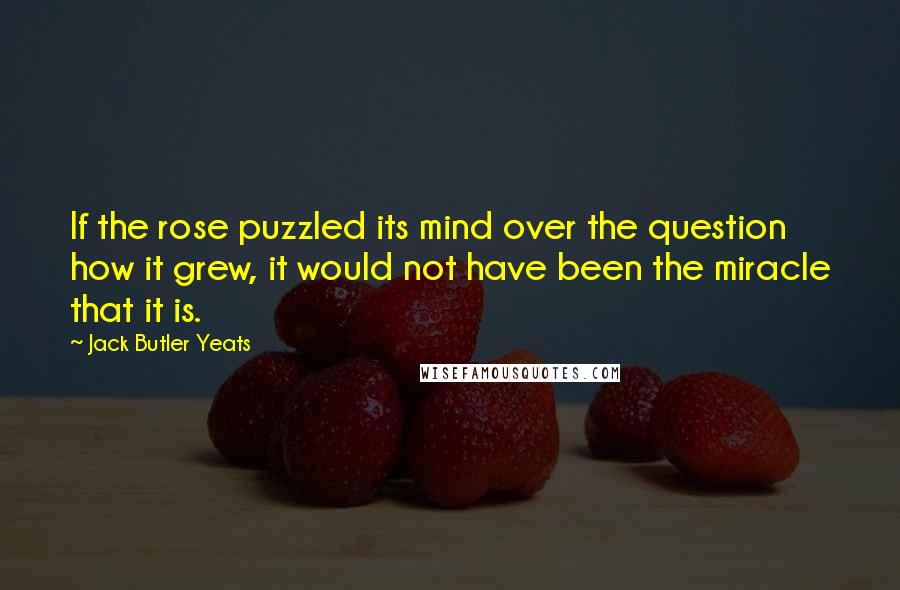 Jack Butler Yeats Quotes: If the rose puzzled its mind over the question how it grew, it would not have been the miracle that it is.