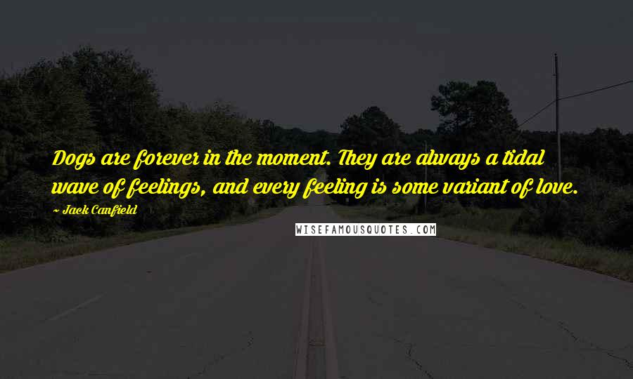 Jack Canfield Quotes: Dogs are forever in the moment. They are always a tidal wave of feelings, and every feeling is some variant of love.