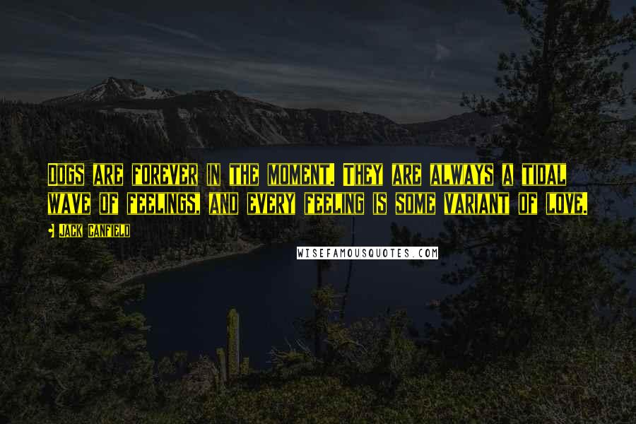 Jack Canfield Quotes: Dogs are forever in the moment. They are always a tidal wave of feelings, and every feeling is some variant of love.