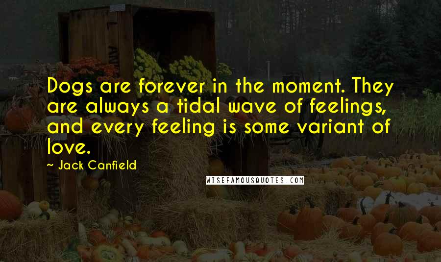 Jack Canfield Quotes: Dogs are forever in the moment. They are always a tidal wave of feelings, and every feeling is some variant of love.