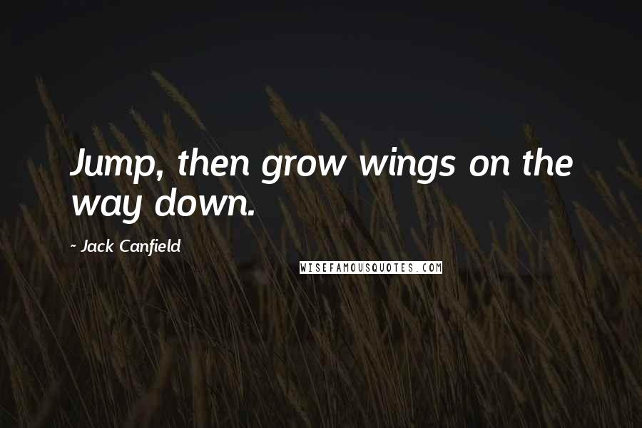 Jack Canfield Quotes: Jump, then grow wings on the way down.