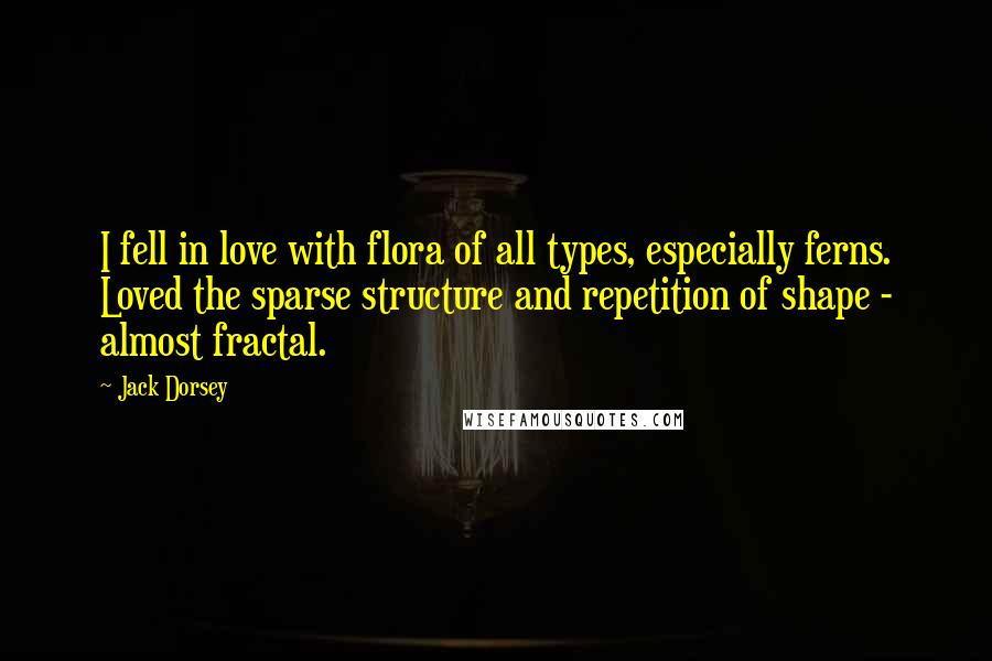 Jack Dorsey Quotes: I fell in love with flora of all types, especially ferns. Loved the sparse structure and repetition of shape - almost fractal.