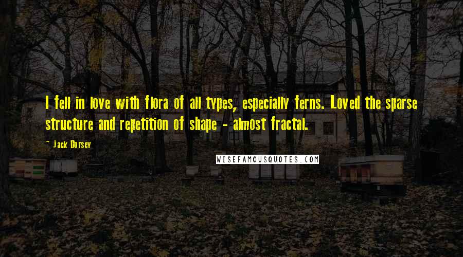 Jack Dorsey Quotes: I fell in love with flora of all types, especially ferns. Loved the sparse structure and repetition of shape - almost fractal.