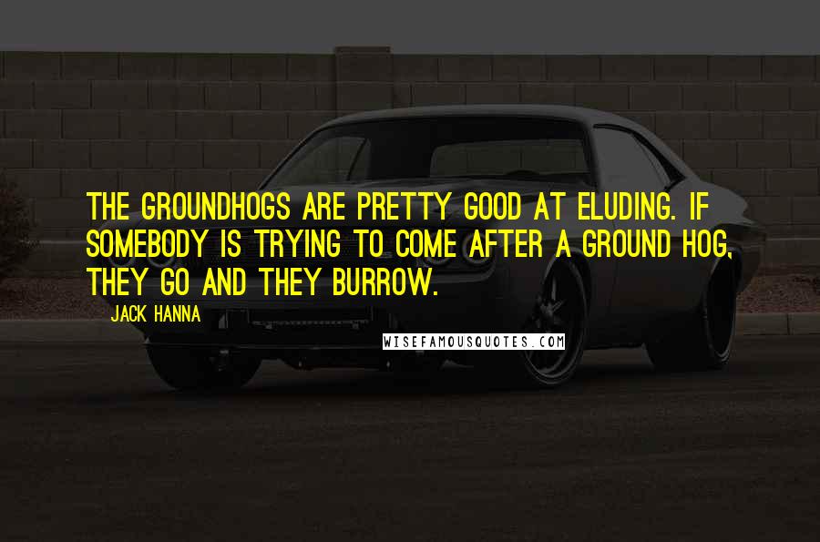 Jack Hanna Quotes: The groundhogs are pretty good at eluding. If somebody is trying to come after a ground hog, they go and they burrow.