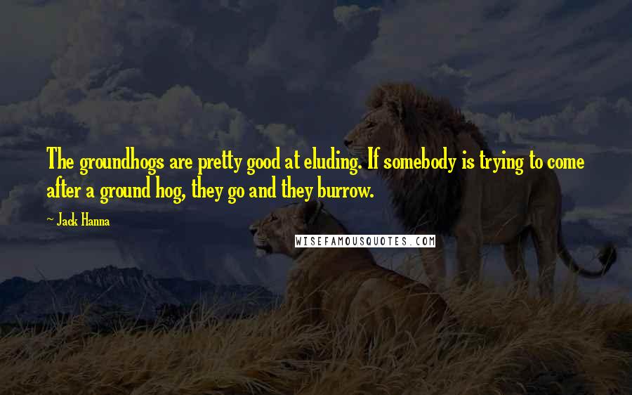 Jack Hanna Quotes: The groundhogs are pretty good at eluding. If somebody is trying to come after a ground hog, they go and they burrow.