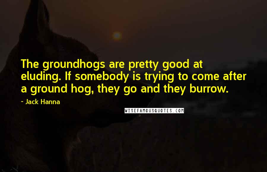 Jack Hanna Quotes: The groundhogs are pretty good at eluding. If somebody is trying to come after a ground hog, they go and they burrow.