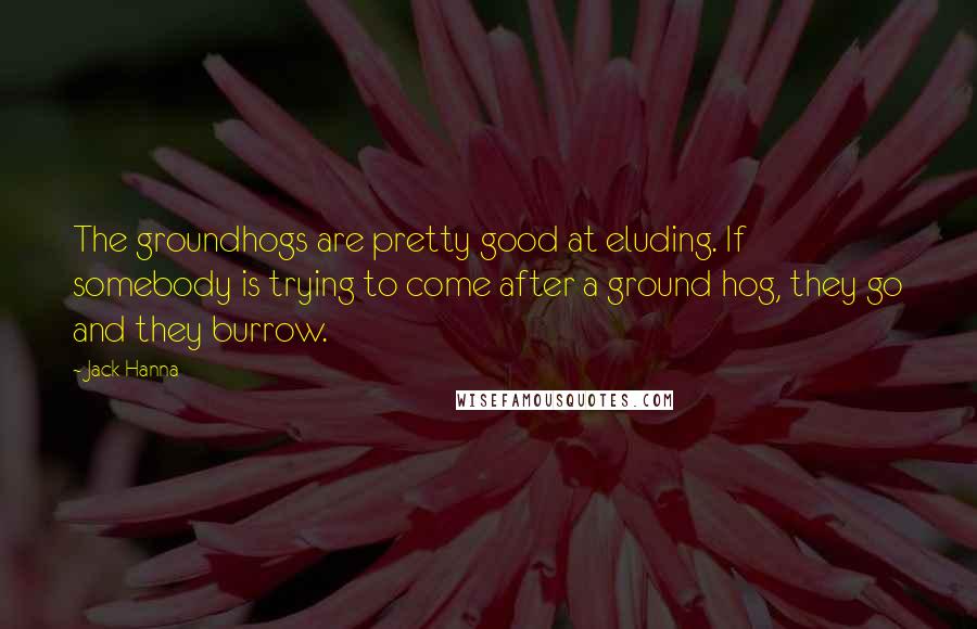 Jack Hanna Quotes: The groundhogs are pretty good at eluding. If somebody is trying to come after a ground hog, they go and they burrow.