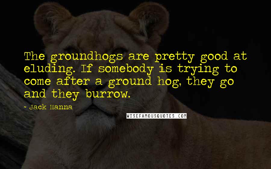 Jack Hanna Quotes: The groundhogs are pretty good at eluding. If somebody is trying to come after a ground hog, they go and they burrow.