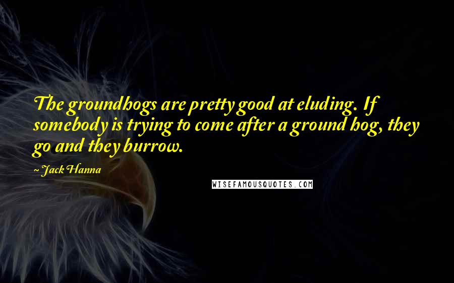 Jack Hanna Quotes: The groundhogs are pretty good at eluding. If somebody is trying to come after a ground hog, they go and they burrow.