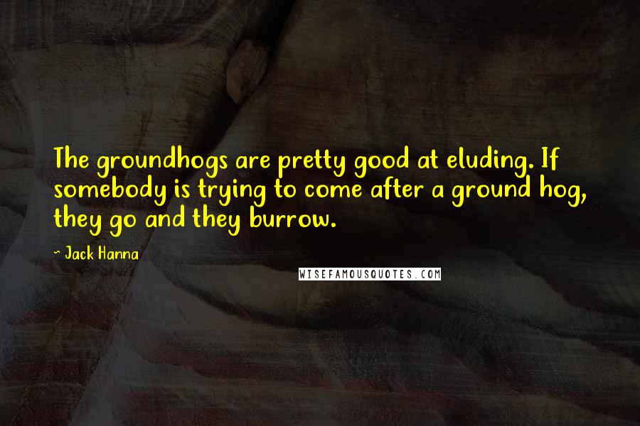 Jack Hanna Quotes: The groundhogs are pretty good at eluding. If somebody is trying to come after a ground hog, they go and they burrow.