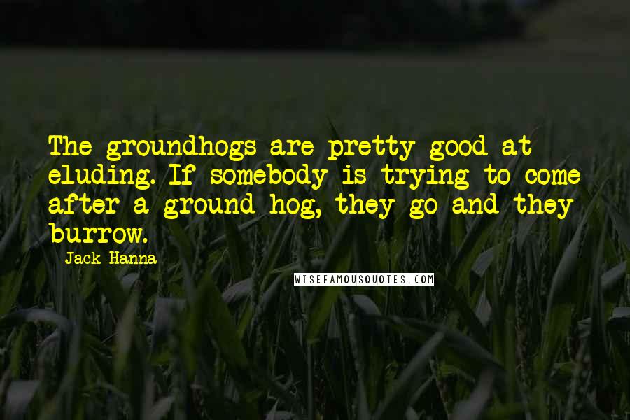 Jack Hanna Quotes: The groundhogs are pretty good at eluding. If somebody is trying to come after a ground hog, they go and they burrow.