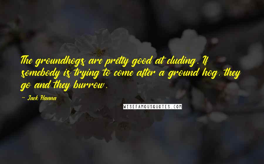 Jack Hanna Quotes: The groundhogs are pretty good at eluding. If somebody is trying to come after a ground hog, they go and they burrow.