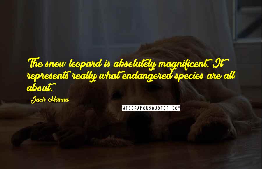 Jack Hanna Quotes: The snow leopard is absolutely magnificent. It represents really what endangered species are all about.