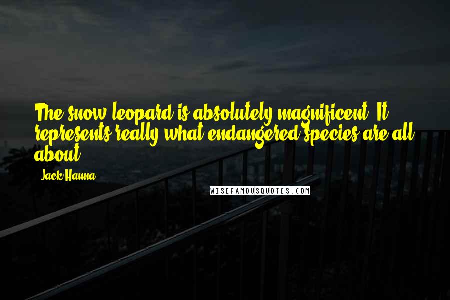 Jack Hanna Quotes: The snow leopard is absolutely magnificent. It represents really what endangered species are all about.