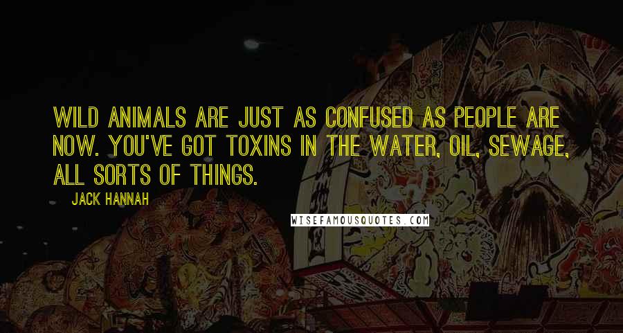 Jack Hannah Quotes: Wild animals are just as confused as people are now. You've got toxins in the water, oil, sewage, all sorts of things.