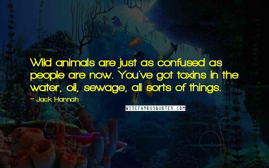 Jack Hannah Quotes: Wild animals are just as confused as people are now. You've got toxins in the water, oil, sewage, all sorts of things.