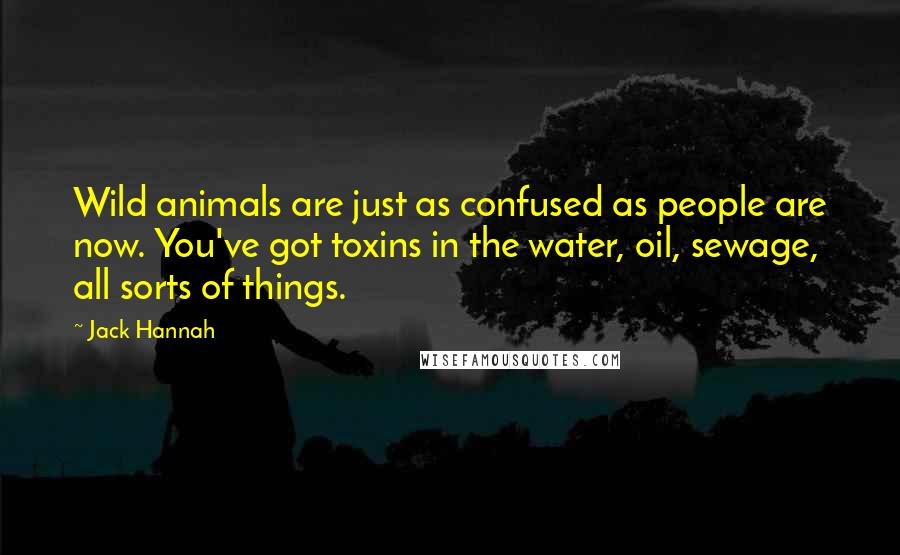 Jack Hannah Quotes: Wild animals are just as confused as people are now. You've got toxins in the water, oil, sewage, all sorts of things.