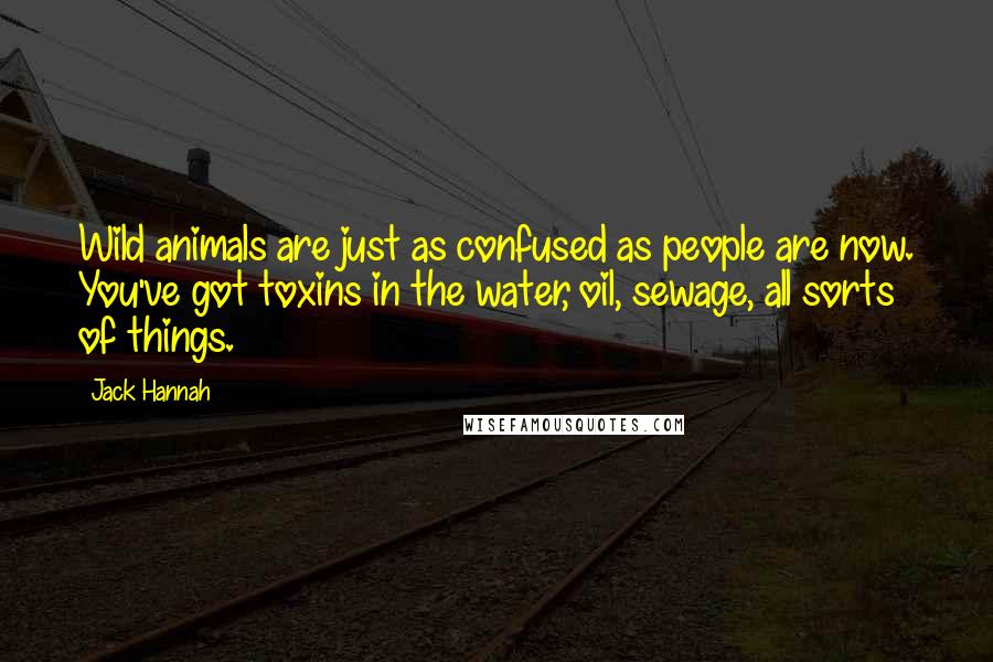 Jack Hannah Quotes: Wild animals are just as confused as people are now. You've got toxins in the water, oil, sewage, all sorts of things.