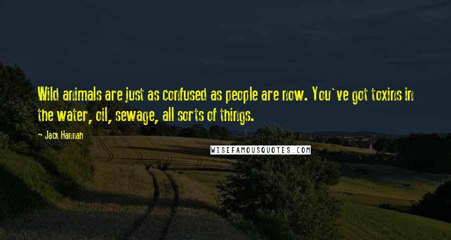 Jack Hannah Quotes: Wild animals are just as confused as people are now. You've got toxins in the water, oil, sewage, all sorts of things.