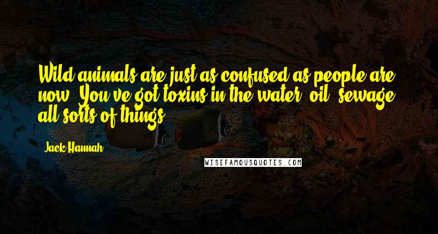 Jack Hannah Quotes: Wild animals are just as confused as people are now. You've got toxins in the water, oil, sewage, all sorts of things.