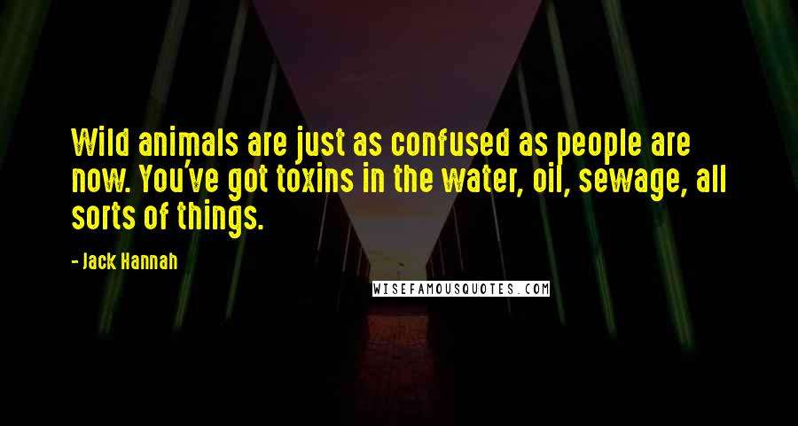 Jack Hannah Quotes: Wild animals are just as confused as people are now. You've got toxins in the water, oil, sewage, all sorts of things.