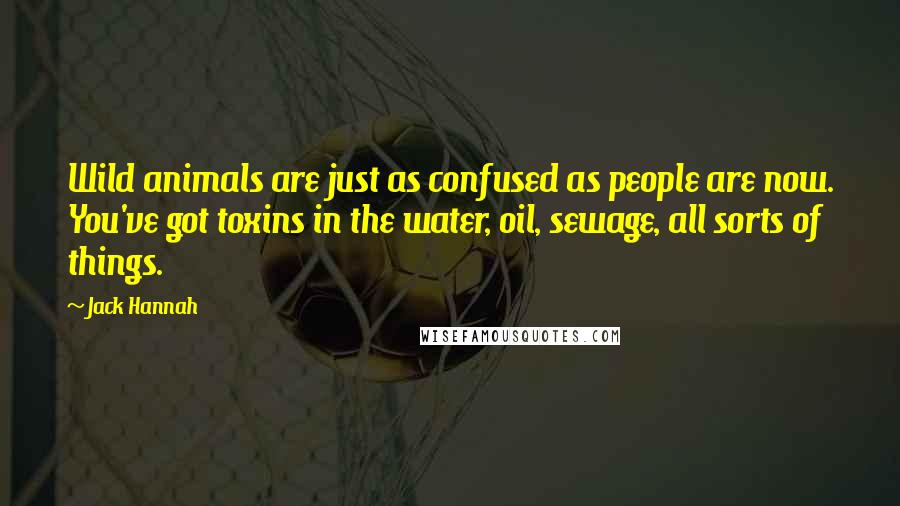 Jack Hannah Quotes: Wild animals are just as confused as people are now. You've got toxins in the water, oil, sewage, all sorts of things.