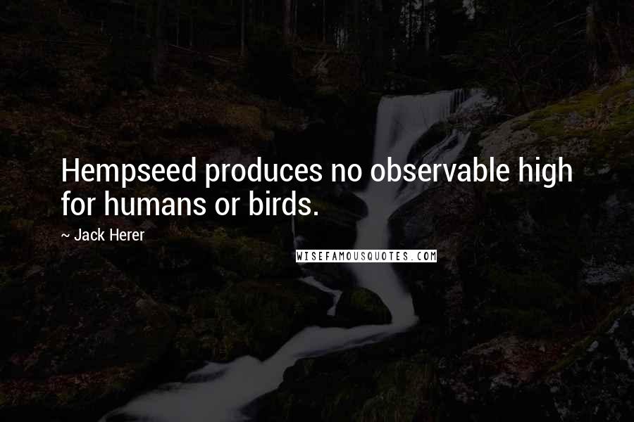 Jack Herer Quotes: Hempseed produces no observable high for humans or birds.