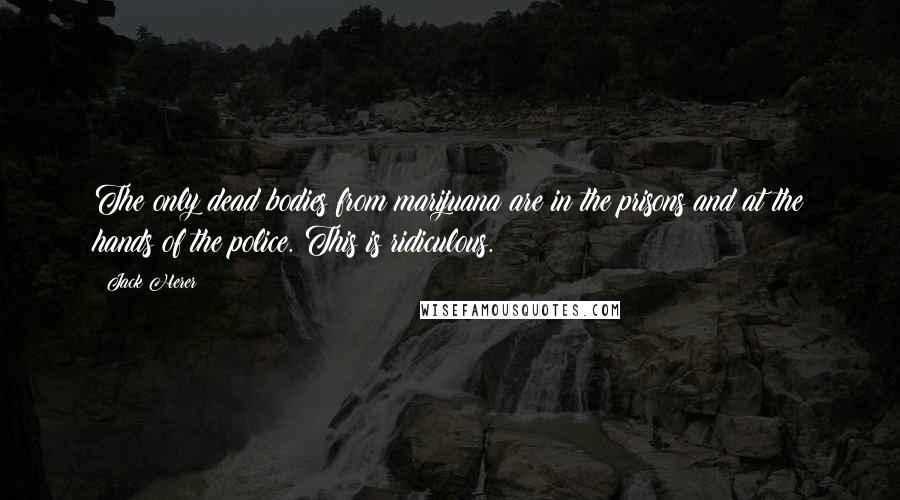 Jack Herer Quotes: The only dead bodies from marijuana are in the prisons and at the hands of the police. This is ridiculous.