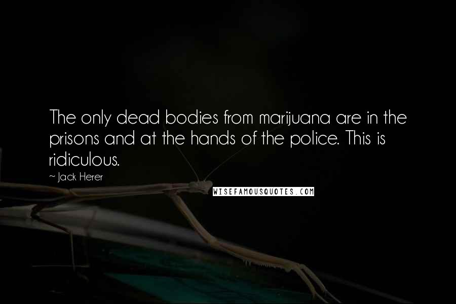 Jack Herer Quotes: The only dead bodies from marijuana are in the prisons and at the hands of the police. This is ridiculous.