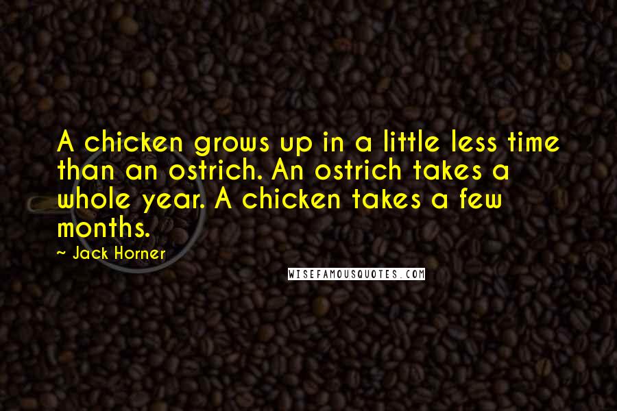 Jack Horner Quotes: A chicken grows up in a little less time than an ostrich. An ostrich takes a whole year. A chicken takes a few months.