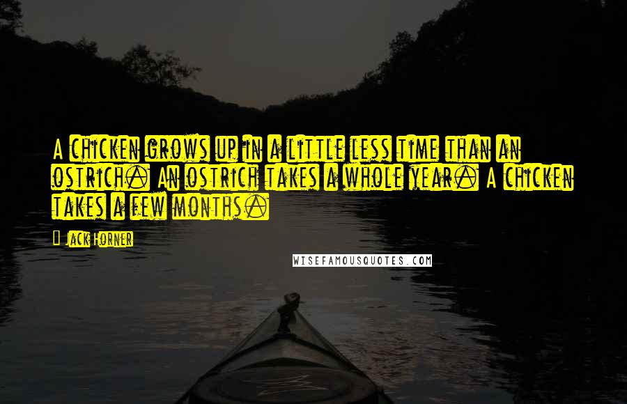 Jack Horner Quotes: A chicken grows up in a little less time than an ostrich. An ostrich takes a whole year. A chicken takes a few months.